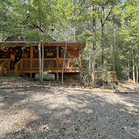 Villa Cozy Bear à Sautee Nacoochee Extérieur photo